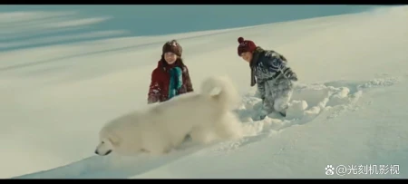 《灵犬雪莉》法国/冒险/剧情-灵犬雪莉故事是什么